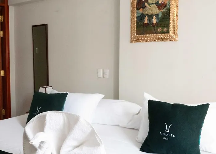 Apartment Cozy Family With Free Airport Pick Up *